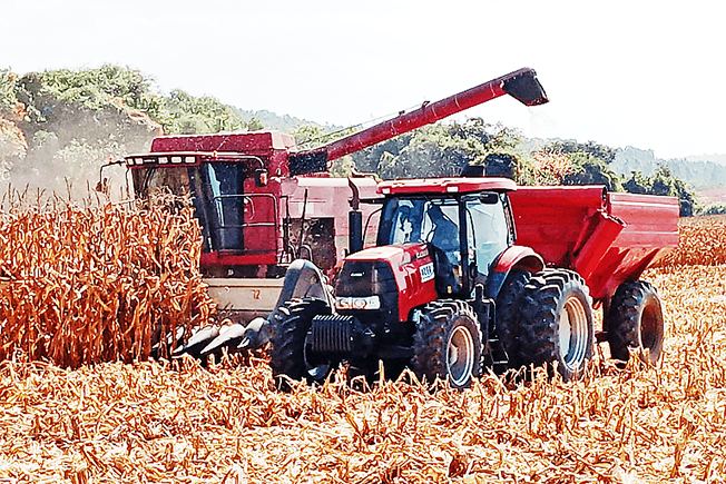 AgroGalaxy anuncia fechamento de lojas e demite centenas de funcionários