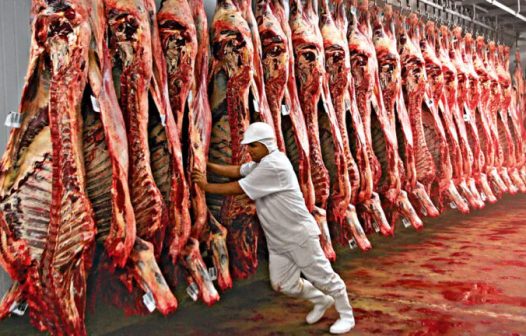 Exportação de carne bovina bate recorde em setembro