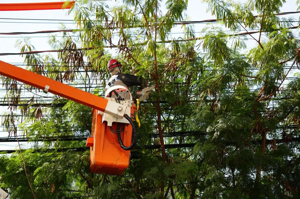 Prefeitura de SP vai à Justiça para exigir que Enel restabeleça energia imediatamente