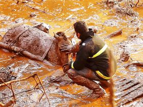 Inglaterra inicia julgamento sobre desastre em Mariana