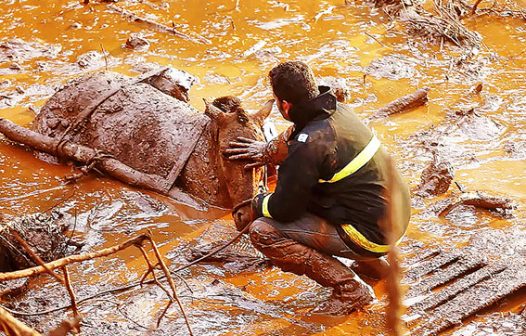 Inglaterra inicia julgamento sobre desastre em Mariana