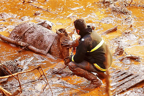 Inglaterra inicia julgamento sobre desastre em Mariana