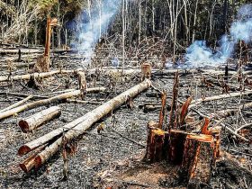 Brasil reduz em 12% emissões de gases do efeito estufa em 2023