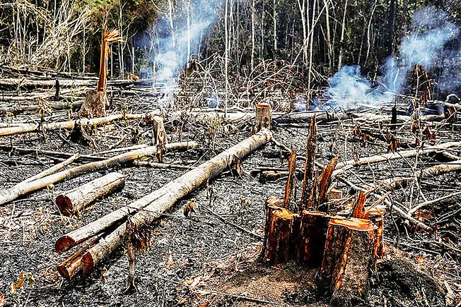 Brasil reduz em 12% emissões de gases do efeito estufa em 2023