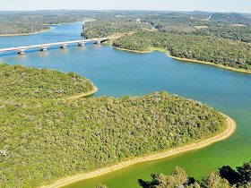 Menos de 10% dos municípios convocaram conferências do meio ambiente