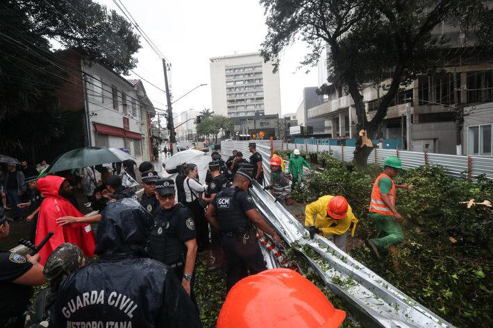 Prefeitura de SP segue cortando árvores em obra na Vila Mariana